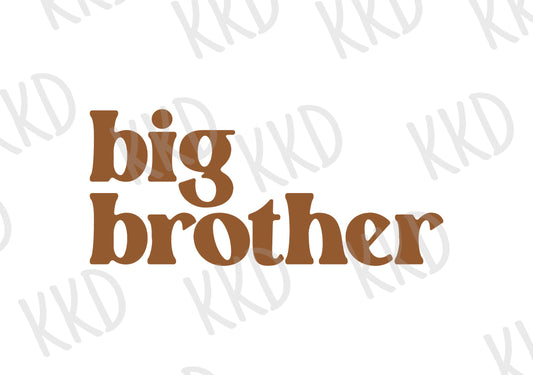 Big Brother (3) - Digital Files
